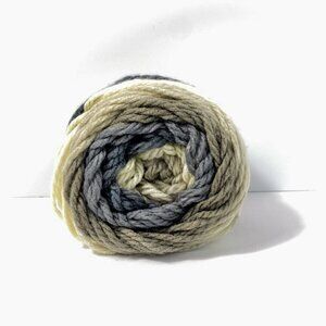 Caron Chunky Cakes Rice Pudding Yarn 17024 9 Oz Skein